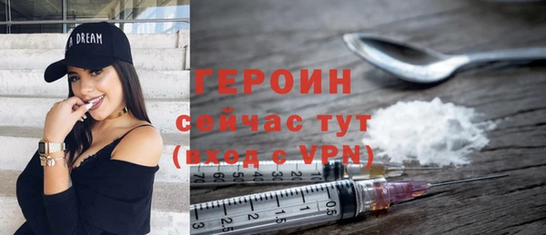 индика Каменка