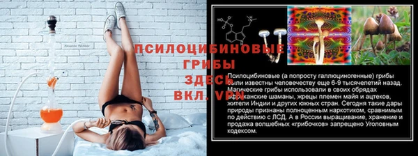 спиды Карталы