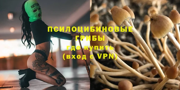 спиды Карталы
