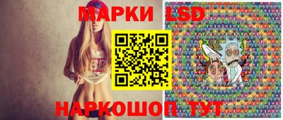 гидропоника Пушкино