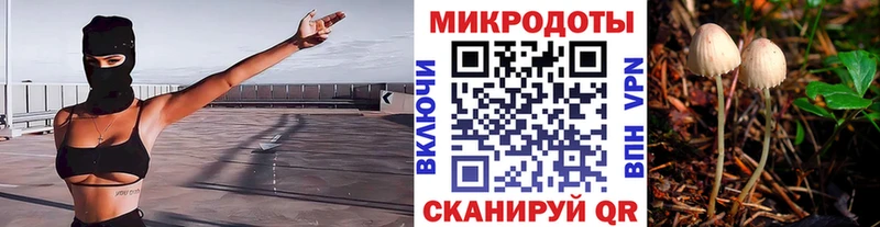 Псилоцибиновые грибы прущие грибы  Ставрополь 