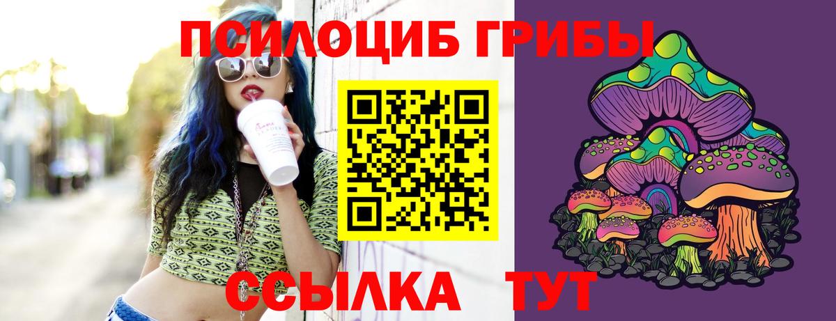 Ставрополь  Галлюциногенные грибы прущие грибы  Вход с VPN 