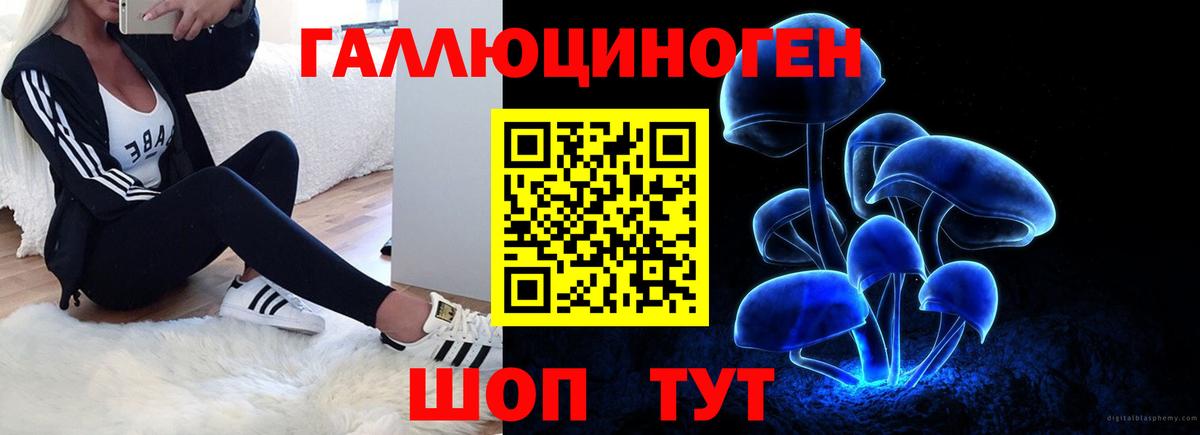 Галлюциногенные грибы прущие грибы Ставрополь