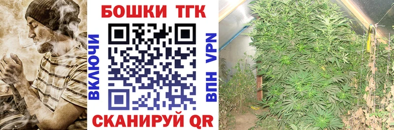 kraken ONION  Ставрополь  Бошки Шишки SATIVA & INDICA  где можно купить  